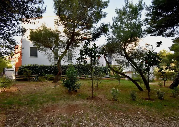 Amazing Luxury 200 M From The *