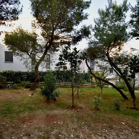 Amazing Luxury 200 M From The *