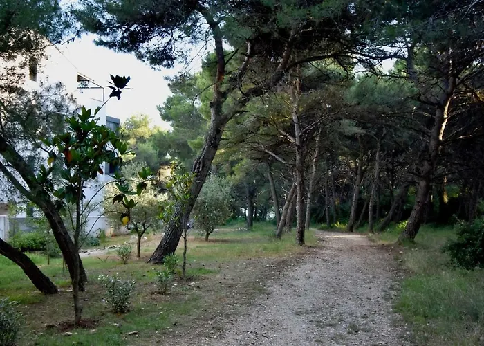 Amazing Luxury 200 M From The